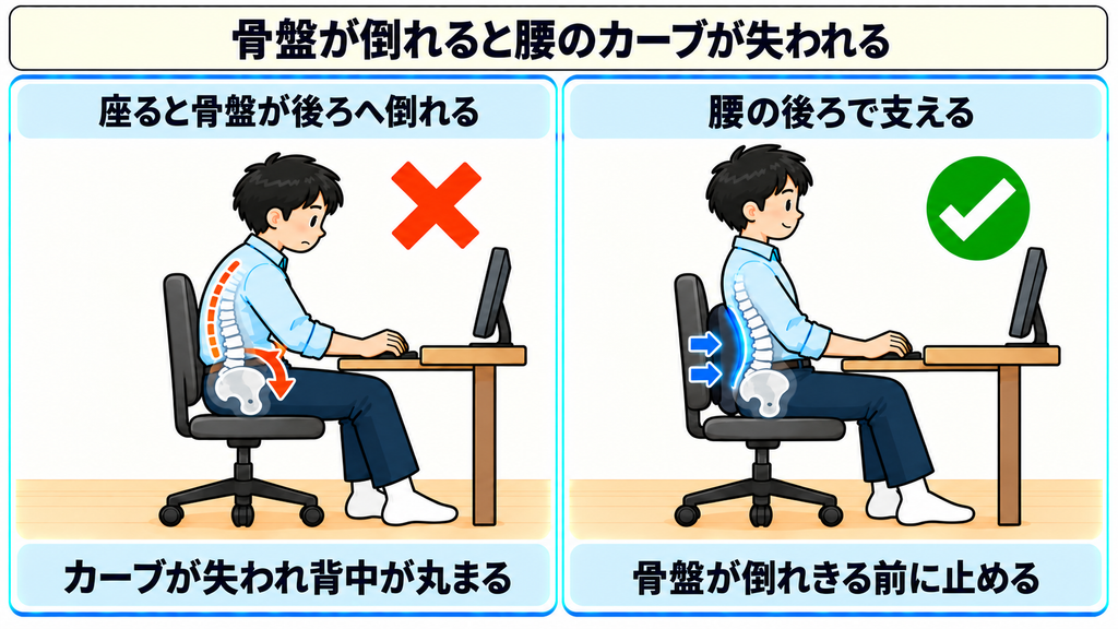 座って骨盤が後ろへ倒れ腰のカーブが失われる様子と、腰の後ろの支えで骨盤が倒れきる前に止まる様子を比べた図