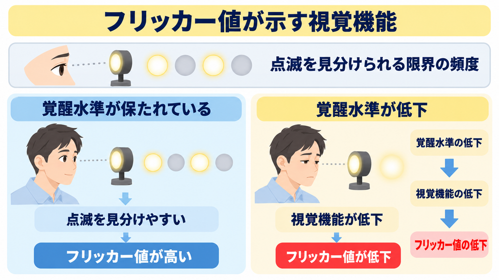 点滅を見分けられる限界の頻度がフリッカー値であり、覚醒水準が保たれていると値が高く、覚醒水準が低下すると視覚機能が落ちて値が下がることを示した図